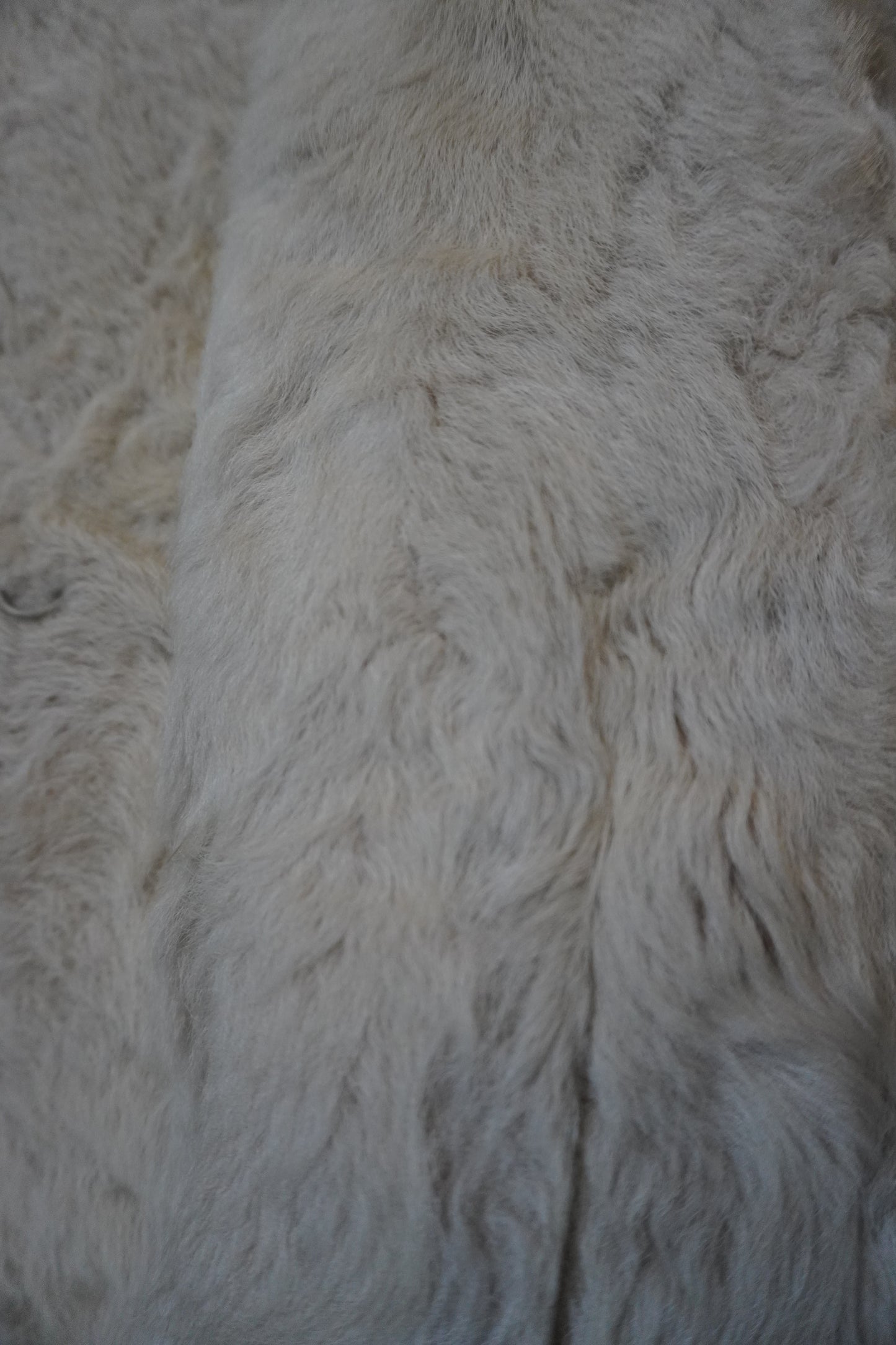 Vanilla Frost Fur Coat – by MANDY CHERIE
