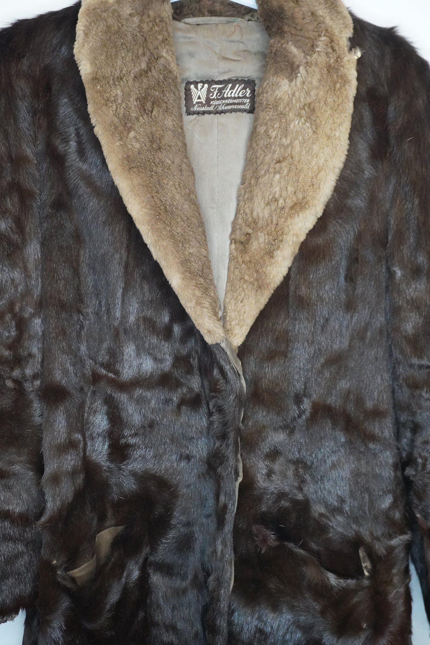 Brown Collar Fur - by MANDY CHERIE - Taille : M