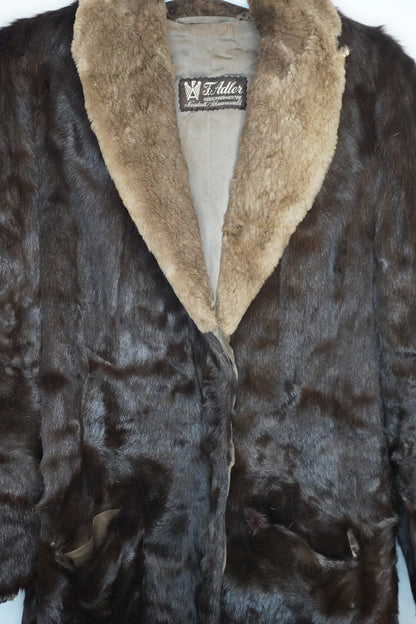 Brown Collar Fur - by MANDY CHERIE - Taille : M