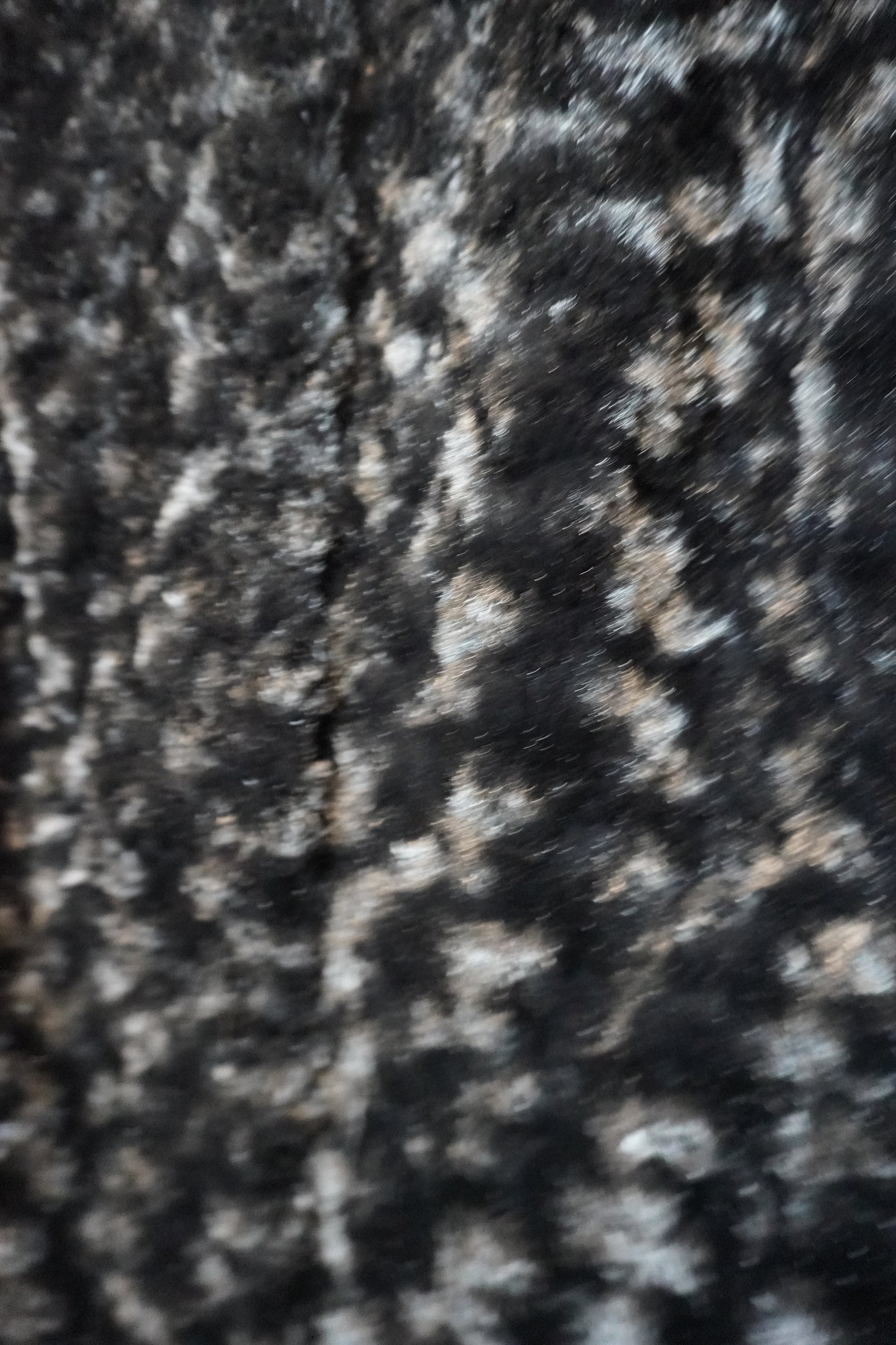 Black Velvet Cropped Fur Jacket – by MANDY CHERIE
